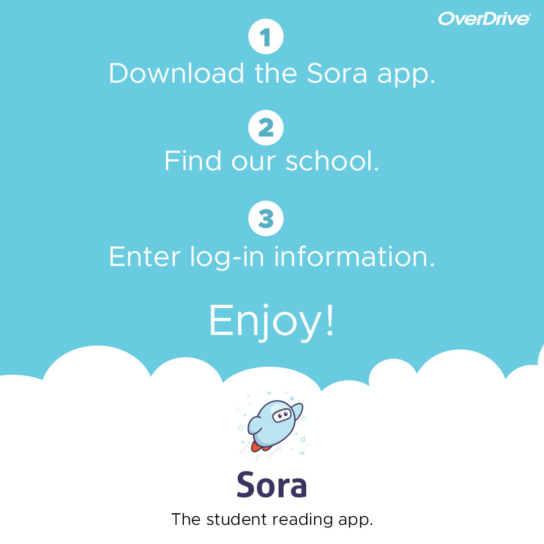 Steps to begin using Sora